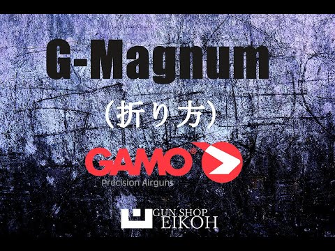 動画を再生（YouTube）